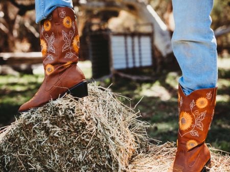 Best from the West – Rhythm, Boots & Beats – JR Concert