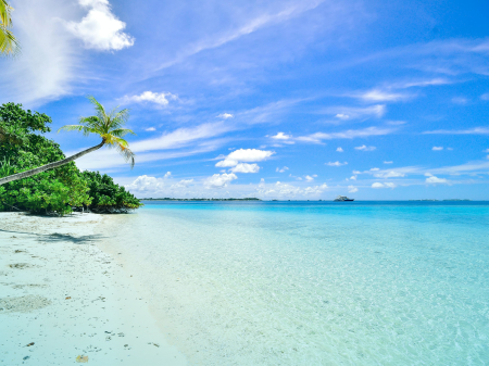 The Best of Moana – Junior Concert 2025