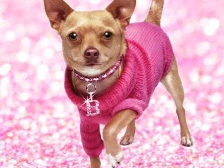 Legally Blonde Jnr